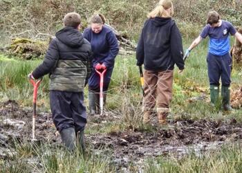 Conservation Work on Chailey Common